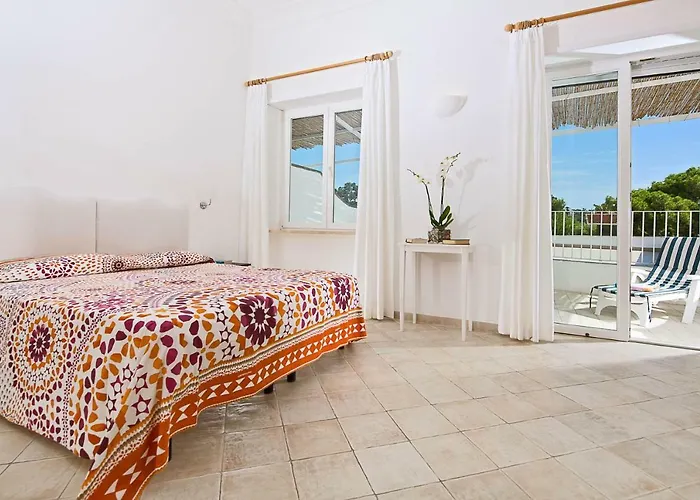 La Tosca 2* 卡普里